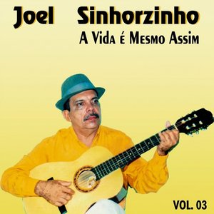 Sou um Cidadão de Bem