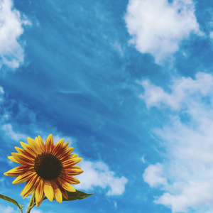 キラキラブルー