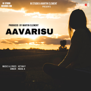 Aavarisu