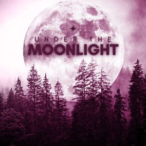 Under the Moonlight