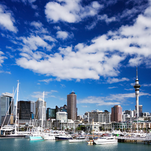 奥克兰故事 AKL STORY