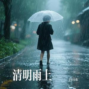 清明雨上 (幸好有你 Remix)