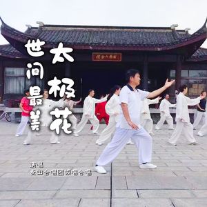 世间最美太极花