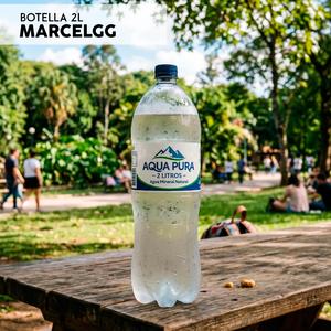 Botella 2L