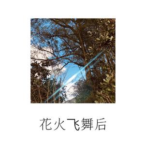 花火飞舞后