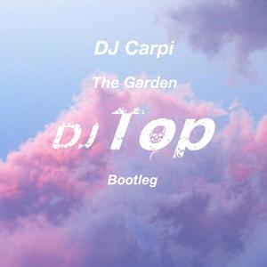 DJ Carpi-The Garden (DJ Top Bootleg)（DJ Top remix）