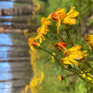 Out My Body (feat. Win32)