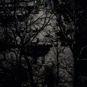 雪夜