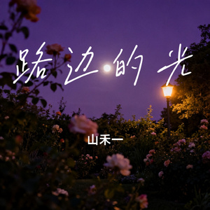 路边的光