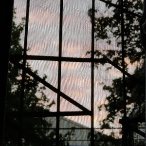 冰棍，汽水，夏天