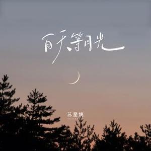 白天等月光