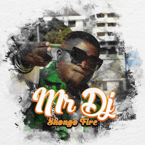 Mr Dj
