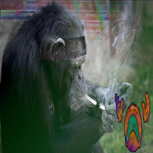 Cuntry (feat. JohNNster)