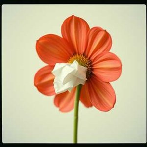 アレルゲンチェック人生