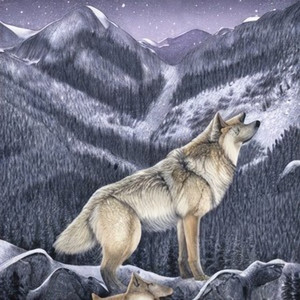 白眼狼 (49秒片段)