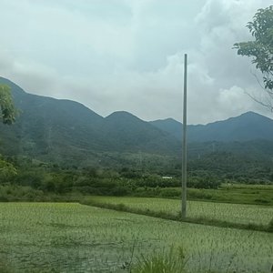 你像季风经过我的旷野