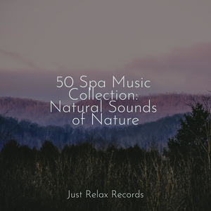 Floating Petals' Lullaby