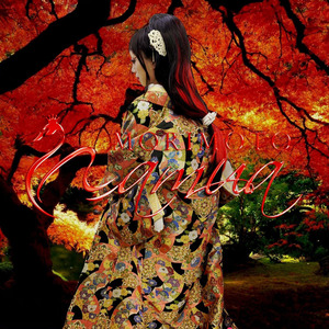 わたしを見てなくても…