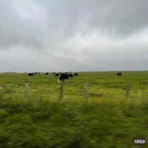 Cabrón (feat. Yung Jammie)