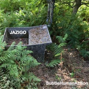 Jazigo