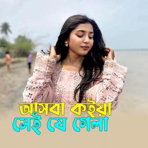 আসবা কইয়া সেই যে গেলা