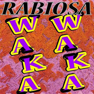 Waka Waka (Football - Soccer WM Mix)