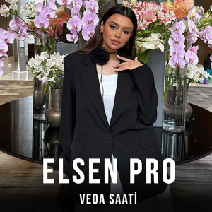 Veda Saati