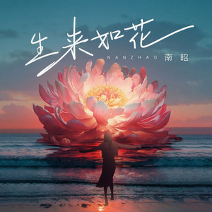 生来如花 (DJ九零版)