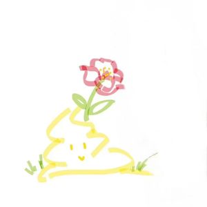 惆怅的枫叶也抵不过四月的花