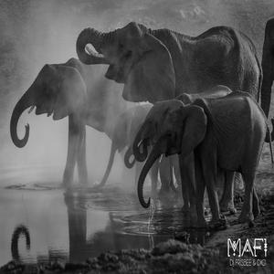 Mafi (feat. DiGi)