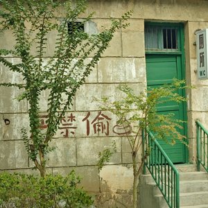 刹那间领悟了生命的真谛