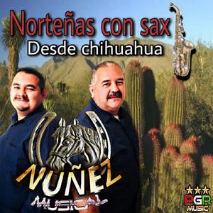 La Indiesita