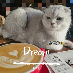 Dream（prod by 金桔0RANG3）