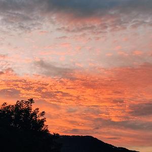 5骑着单车去拉萨