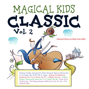 Concerto for Flute, Strings and Basso Continuo No. 4 in G Major, Op. 10 RV 435: II. Largo