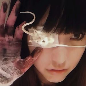 ginseng prettifun type beat “code”