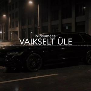 Vaikselt üle