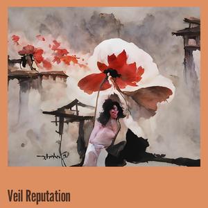Veil Reputation
