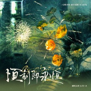 顷刻即永恒（广播剧《一枝·第二季》主题曲）