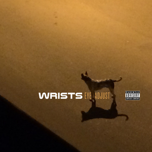 Eye Adjust (Remixed by SubTric)