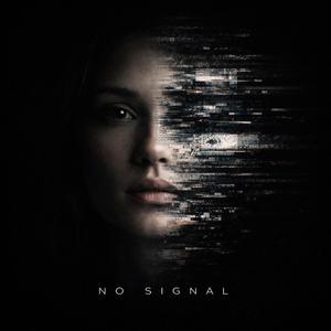 No Signal
