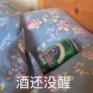 惊鸿一面
