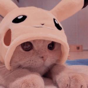 HI (prod. tissialebeats)