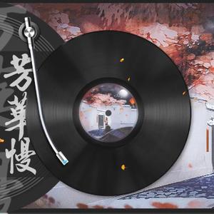 芳华慢（翻自 群星）