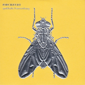 Spukhafte Fernwirkung