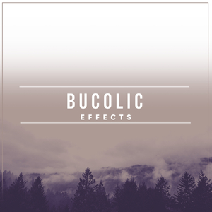 Wandering Through Nature