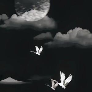 风吹丹顶鹤 立体环绕