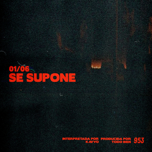 01/06 Se Supone
