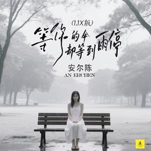 等你的伞却等到雨停 (DJ小刚)