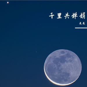 千里共婵娟